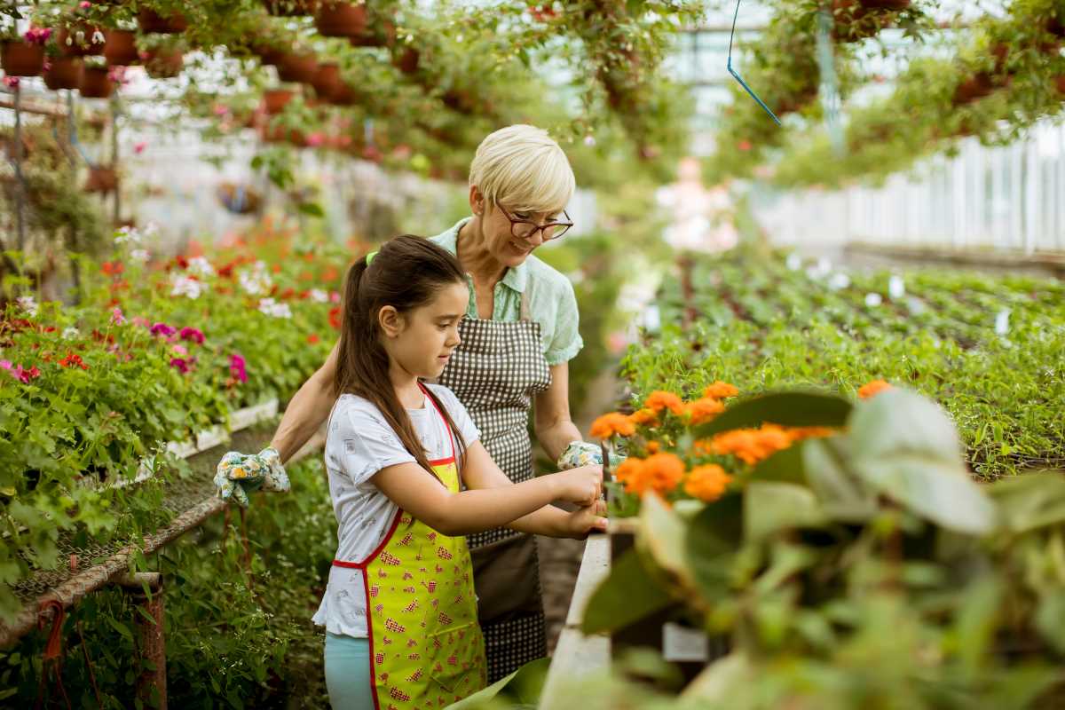 How Gardening Cultivates a Healthier Mind